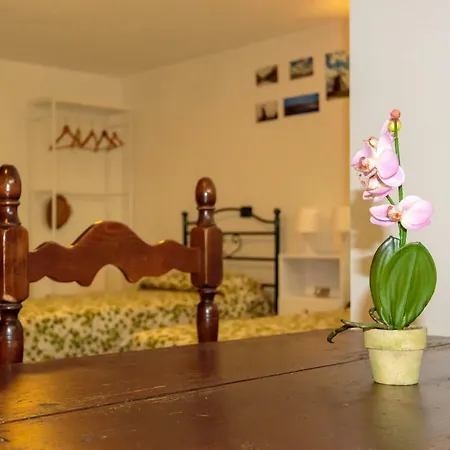 Pensjonat Chez Nous Massarosa