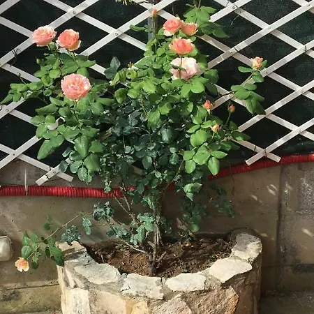 Penzion Chez Nous Massarosa